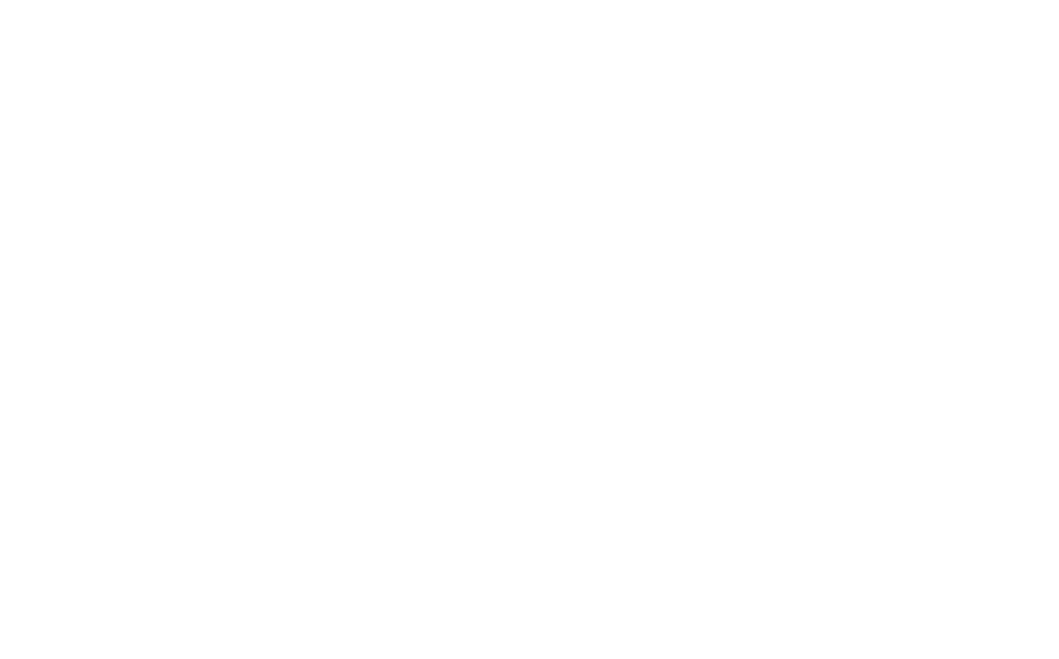 thefluxcanvas-footer-logo